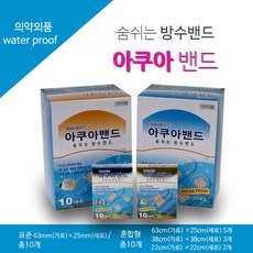아쿠아레이서러버밴드