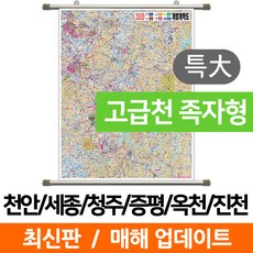 옥천군지도