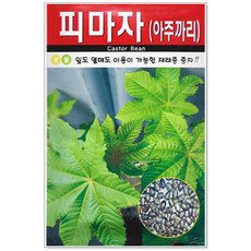 11dd5964-f12b-49cd-ac71-d793ac7d1933.jpg