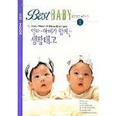 베스트임신책