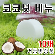 울산비누원데이