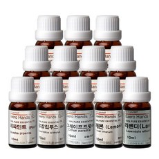 새로핸즈