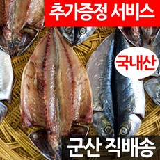 동해안반건조고등어