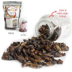 MG내츄럴 국내산 건조 귀뚜라미(리필), 50g, 1개