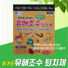 쥐쫒는퇴치기