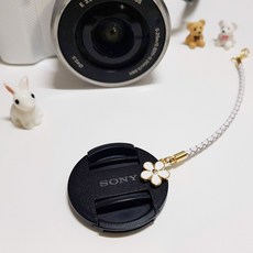 심플렌즈캡홀더