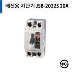 산업용 진흥전기 배선용 차단기 JSB 2022S 20A, 1개