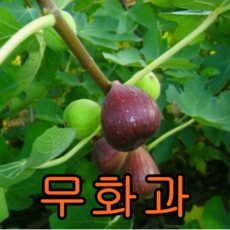 6516b04a-4ca3-4eb2-8bd1-723b411366a2.png