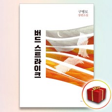 창문버드스트라이크