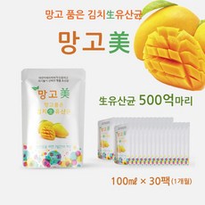 시간제한다이어트중고