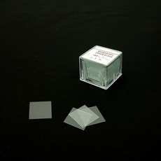 엉덩이탐정현미경