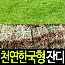 순희농장 한국형잔디(18*18), 300장
