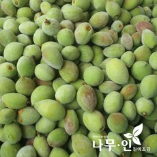 a01d408a-d51c-47e8-b409-0dd7b41bc9b5.jpg