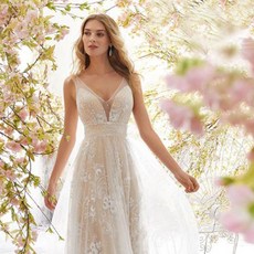 3def7933-8ef9-4e5e-a3a5-7d5378e6c5fc.jpg