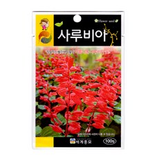 분꽃