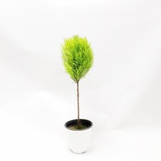 1ad956e8-aacc-4c39-b576-88d990ebbfe6.jpg