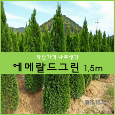 4c7b8b40-038f-480e-a6e7-d94409903740.png
