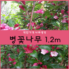 40550373-777a-45b6-ba4d-38158b8d99bf.png