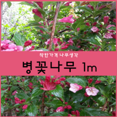 9294b0b7-44a2-41c2-b7d6-dc0253bd9c6d.png