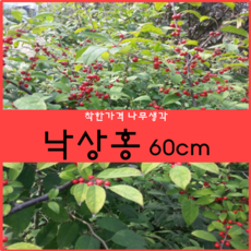 e13a8751-78ed-4ab2-88e3-85fc31077f65.png