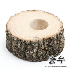 충우곤충박물관 먹이접시 1구, 1개