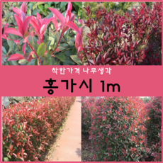 a91d8587-20f0-41bd-9d6e-03bd4a1f0a4a.png