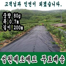 풀방지