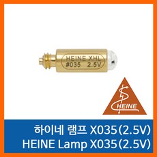 후두경건전지