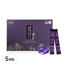 혜인담 홍삼담은 구증구포 흑도라지청 스틱 선물세트, 5개 5세트
