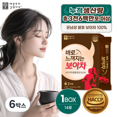악마다이어트 바로 느껴지는 보이차, 1g, 14개입, 6박스