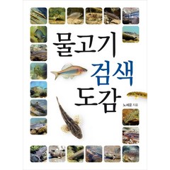 [진선북스(진선출판사)]물고기 검색 도감 - 자연 검색 도감, 진선북스(진선출판사), 노세윤