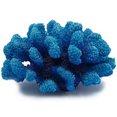 아쿠아비 바다산호 산호석 장식 1490B, 혼합색상, 1개