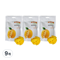 VNFRUIT 건망고, 100g, 9개