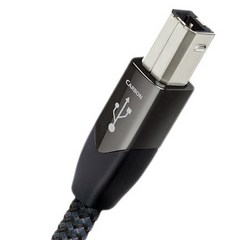 오디오퀘스트 USB 2.0 Carbon A to B USB 2.0 AV케이블 1.5m