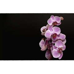 유브이디에스 아트보드 주방시트지 분홍꽃, 1개