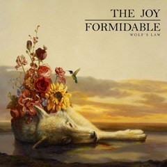 The Joy Formidable - Wolf’s Law EU수입반, 1CD