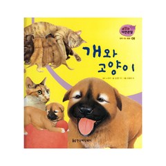 땅에 사는 동물 8: 개와 고양이, 한국헤밍웨이
