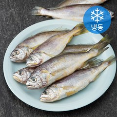 바다자리 참조기 개별포장 중 10미 (냉동), 700g, 1개