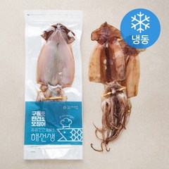 해선생 원양산 구룡포 반건오징어 3미 (냉동), 300g (3미), 1개