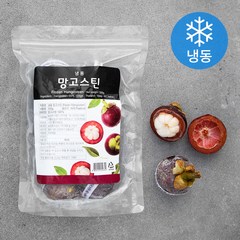 망고스틴 (냉동), 500g, 1개