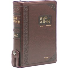 개역개정 굿타임 큰글자 주석성경 21C 찬송가 (대 / 지퍼 / 다크브라운), 예장