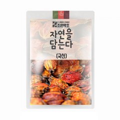 조은약초 치자, 200g, 1개