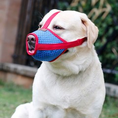 에이프릴16 강아지 훈련용 매쉬 입마개 XL, 레드 + 블루, 1개