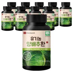 참다움 유기농 양배추환, 120g, 10개입