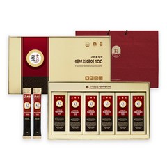 풍년보감 6년근 고려홍삼정 에브리데이 100 홍삼스틱 60포 선물세트 + 쇼핑백, 900g, 1개