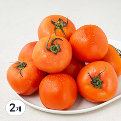 ONLYFARM 주스용 토마토, 2.5kg, 2팩