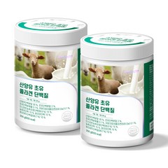 퍼펙토 산양유 초유 콜라겐 단백질, 250g, 2개