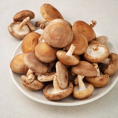 국내산 표고버섯, 1kg, 1개