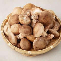 국내산 표고버섯(특품), 1kg, 1개