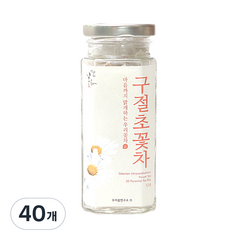 우리꽃연구소 구절초 꽃차 삼각티백, 0.5g, 40개